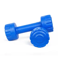 ARTINO PVC Fitness Dumbbells Set 4KG (PO2)