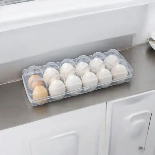 Image of ARTO Clear Plastic Egg Tray (SO2)