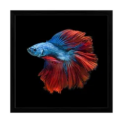 ArtzFolio Siamese Fighting Fish D1 | Premium Canvas Painting for Bedroom
