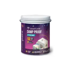 Asian Paint Smart Care Damp Proof