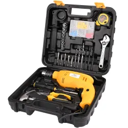 Asian Paints Corded Electric Professional Impact Drill Tool kit
