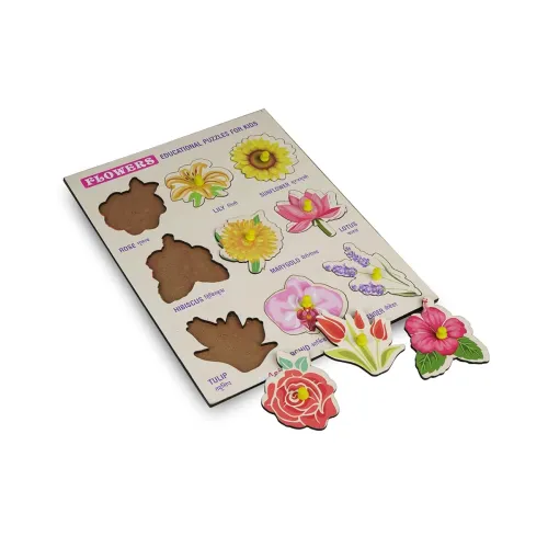 Image of Asian Wooden Puzzle Board Game for Kids (3D Shapes Learning Toy)