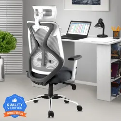 Astride Ergofit Ergonomic High Back Mesh Office Chair