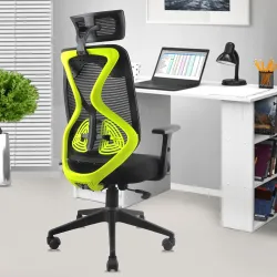ASTRIDE Ergofit Ergonomic Office Chair
