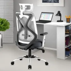 ASTRIDE Ergofit Ergonomic Office Chair for Home | 3-Years Warranty | 2D Headrest, Adjustable Arms & Lumbar Support | Til