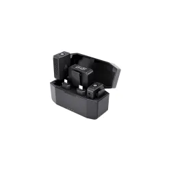 Audio Array AM-W15 Dual Wireless Mic 