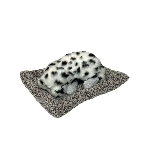 Image of AUGEN Cute Sleeping Dog Dashboard