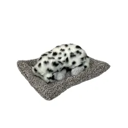 AUGEN Cute Sleeping Dog Dashboard