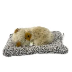 AUGEN Sleeping Cat Car Dashboard & Home Decor Decorative Showpiece