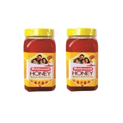 Baidyanath Asli Ayurved Honey 500G (Pack of 2) | Natural Immunity Booster, Pure & Wholesome - Weight Loss Support, Radiant Skin, Cough & Cold Defense | No Added Sugar