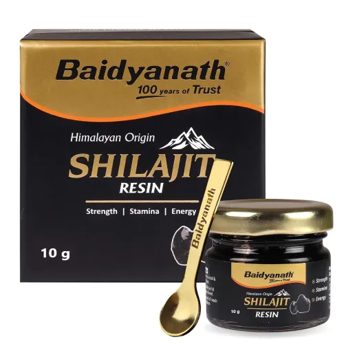 Image of Baidyanath Ayurved Himalayan Shilajit Resin 10g