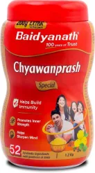 Baidyanath Chyawanprash Special Immunity Booster (1.2 kg)
