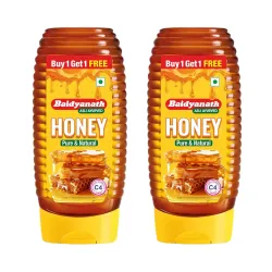 Baidyanath Squeezy Honey Pack 800g (400 gm x 2)