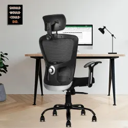 beAAtho® Amaze Ergonomically Home & Revolving Office Chair