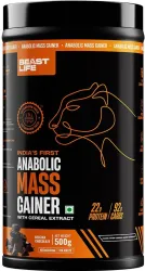 BeastLife High Protein Gainer Mass Gainers (500g)