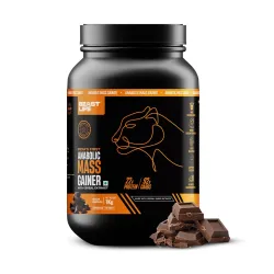 BEASTLIFE High Protein Mass/Weight Gainer 1 KG