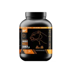BeastLife Mass Gainer 2.5kg Belgian Chocolate