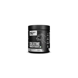 BEASTLIFE Super Micronized Creatine Monohydrate 249g 