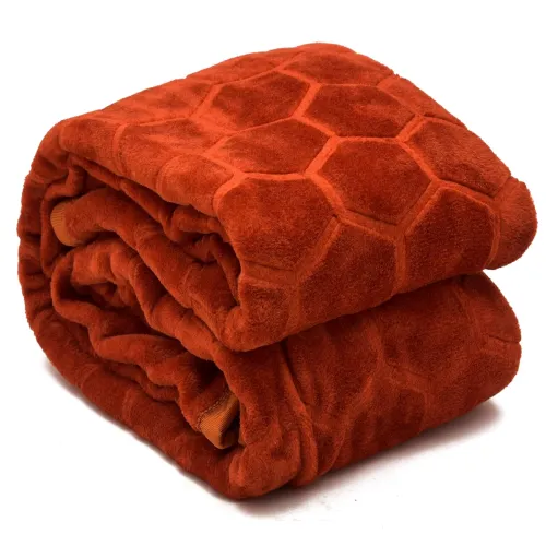 Image of BENAVJI Mink Floral Soft AC Bed Velvet for Winter Blanket 