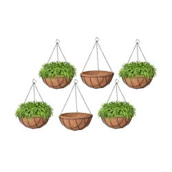 Bianco 8 Coir Hanging Basket/Coco Gardening Liner with Hanging Pots and Metal Hanging Chain/Hanging Planters- Set of 6 W