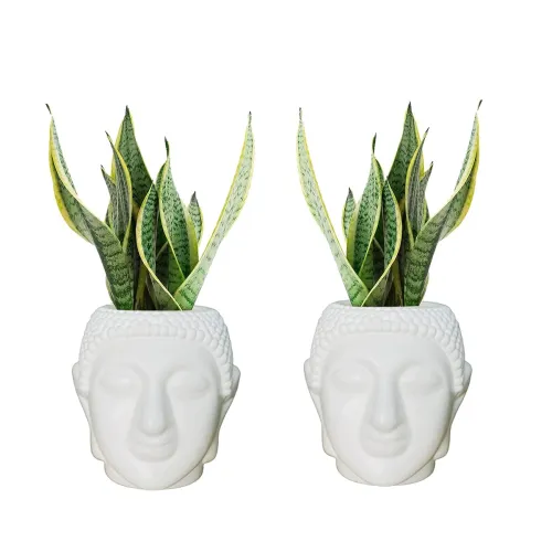 Image of Bianco Buddha Plastic Flower Pot (White, Set of 2)