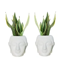 Bianco Buddha Plastic Flower Pot (White, Set of 2)