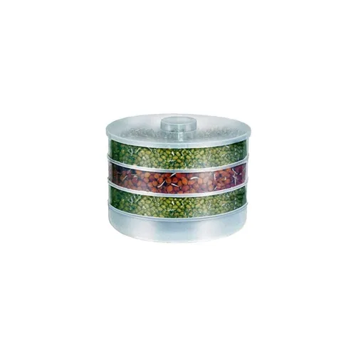 Image of Black Olive 4-Compartment Plastic Box