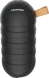 Blaupunkt BT06 BK 6 W Bluetooth PA Speaker Â