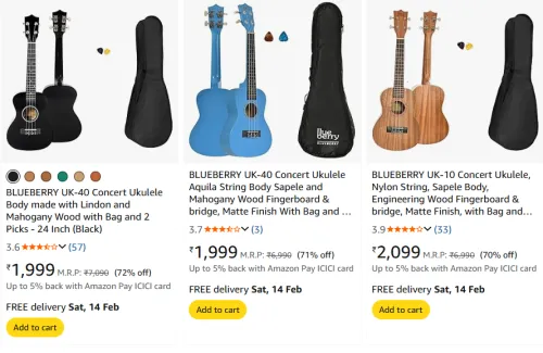 Image of Blueberry guitar for beginner upto 70% off 