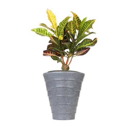 Image of BLUME Colosseum XSmall Dark Grey Stone Without LED 
