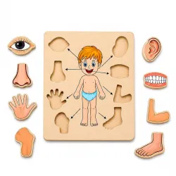 Body Part Puzzle Kids Wooden Toys for Kids 3 + Jigsaw Puzzles for Adults Baby Learning Toys Educational Toys Game for Learning Human Body Parts Anatomy Skeleton - Gift Toys for Boy and Girl