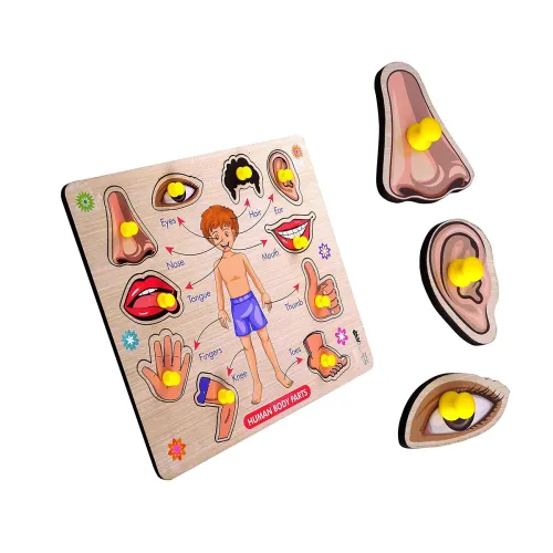 Image of Body Part Wooden Puzzle for Kids