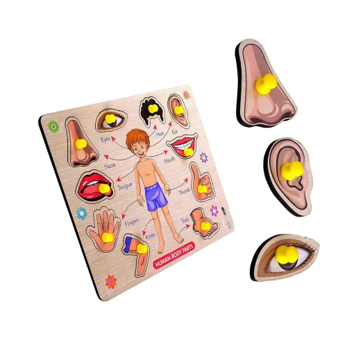 Image of Body Part Wooden Puzzle for Kids 3+ (Educational Board Game)