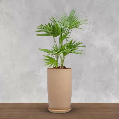 Image of BonKaso 18 inch Beige Marble Finish Flower Pot 