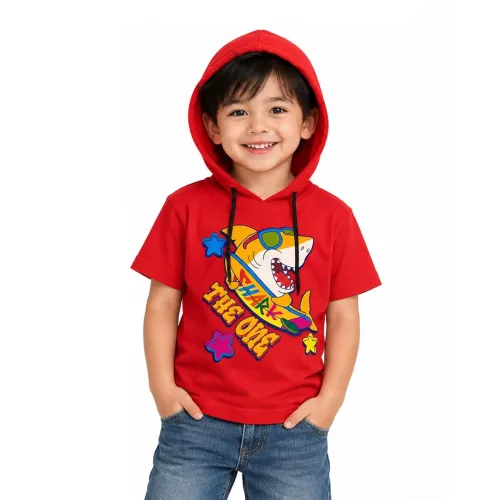 Image of Boys Half Sleeve Hooded T-Shirt | Stylish Hoodie Tee for Kids