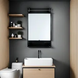 BRANCO Bathroom Mirror Cabinet Black Organizer