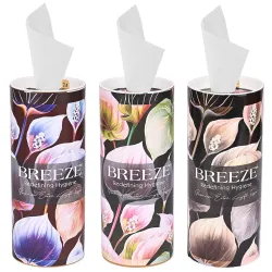 BREEZE 2 PLY 120 Sheet 60 Pulls Facial Tissue Soft Wipe