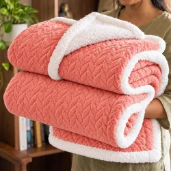 BSB Home Polyester Micromink Winter/Mild Winter Ac Blanket Sherpa Super