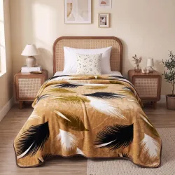 BSB HOME Single Bed Mink Blanket, Velvet Like Soft Plush Fleece Blanket, Warm Lightweight AC Blanket for Winter, Ultra Soft Cozy Bed Blanket for Home & Travel,56 x 80 Inches(142 x 203 cm) -....