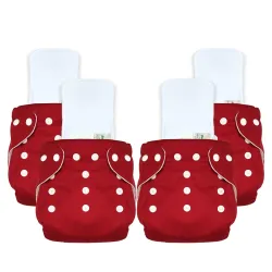Bumper Reusable Cloth Diaper with Insert Pad (pack of 4)