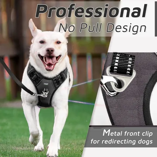 Image of Buraq No Pull Reflective Dog Harness