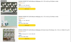 Cabana Homes Self Adhesive Wallpaper Starting @ ₹50