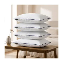 CareFoam Cloud-Soft Microfiber Bed Pillows Set