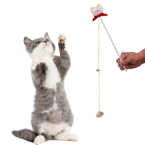 Image of Cat and Dog Playing Stick