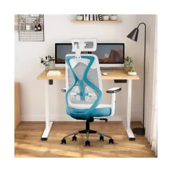 CELLBELL C190 Berlin High Back Mesh Ergonomic Office Chair