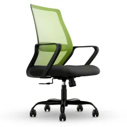 CELLBELL Desire Pro Mid Back Mesh Office Chair Adjustable Study Chair