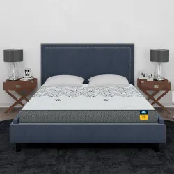 Centuary Mattresses Sleepables 10 Inch Multi Layered Pocket Spring Queen Mattress (75x60x10)