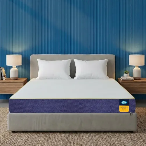 Image of Centuary Sleepables 6-Inch King Orthopedic Memory Foam Mattress, 72x72x6