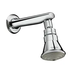 Cera 2.5-inch Over Head Shower with Revolving Joint and Arm (Stainless Steel)