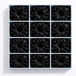 Cerrito Satin Silk Hair Scrunchies for Women & Girls – Soft Elastic Hair Ties for Ponytail, Bun & Daily Styling, No Damage Hair Bands, Premium Hair Accessories Pack, Birthday Gift (Black-12....